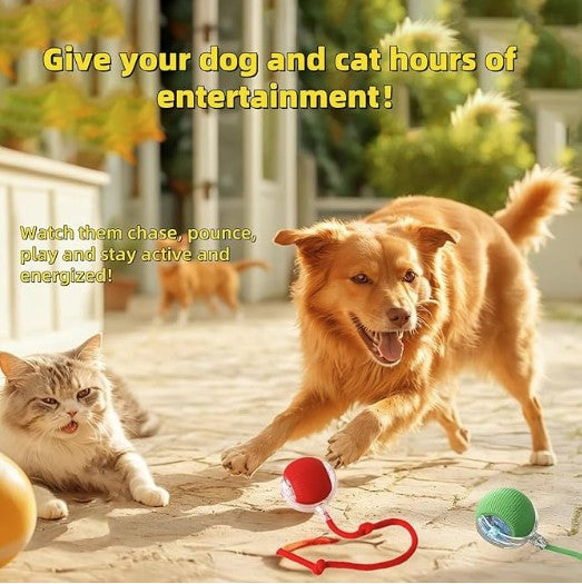 Interactive Pet Ball Toy