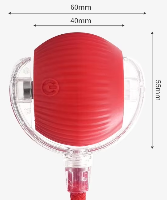 Interactive Pet Ball Toy