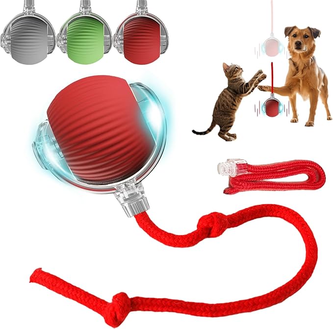 Interactive Pet Ball Toy