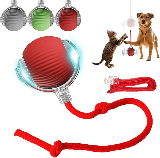 Interactive Pet Ball Toy
