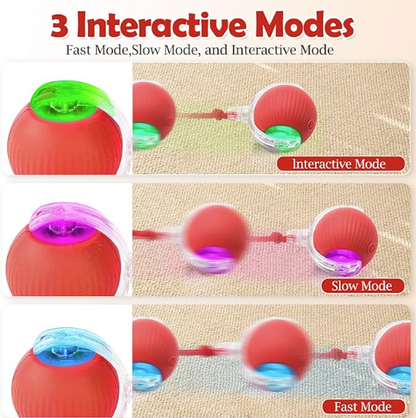 Interactive Pet Ball Toy